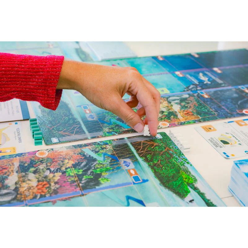 Finspan (A Wingspan Game) - Image 10