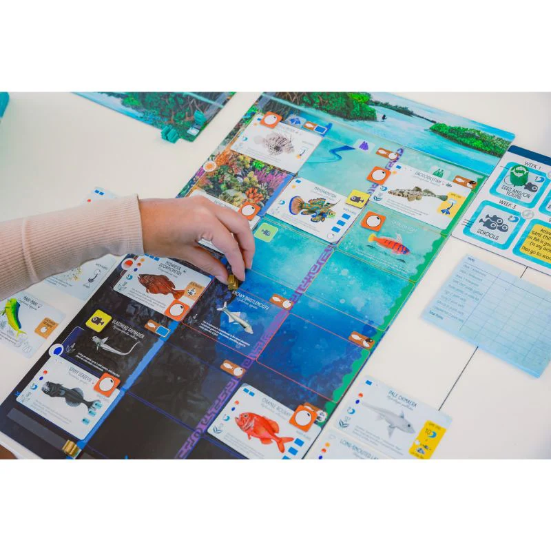 Finspan (A Wingspan Game) - Image 6
